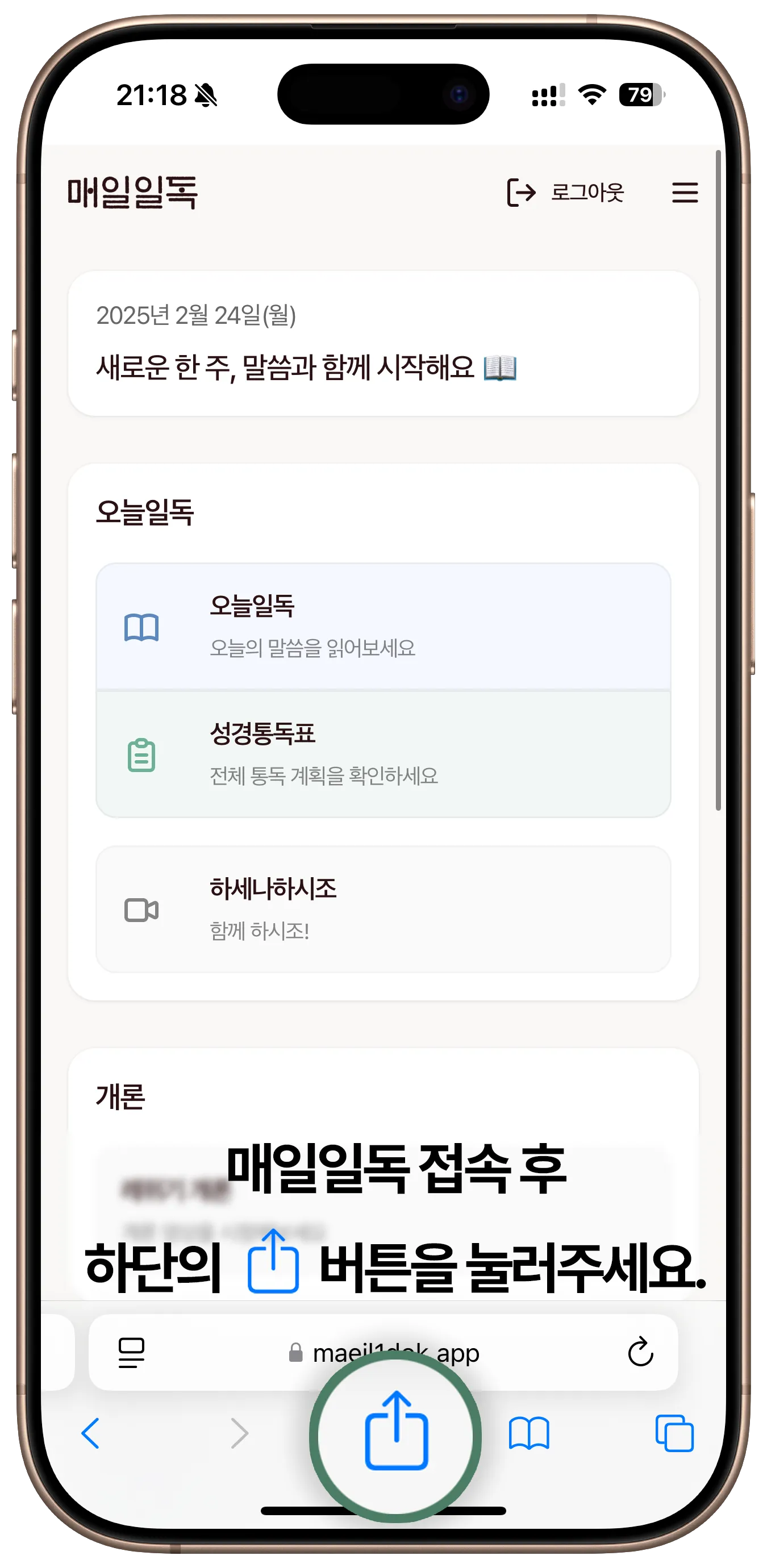 Safari 공유 버튼