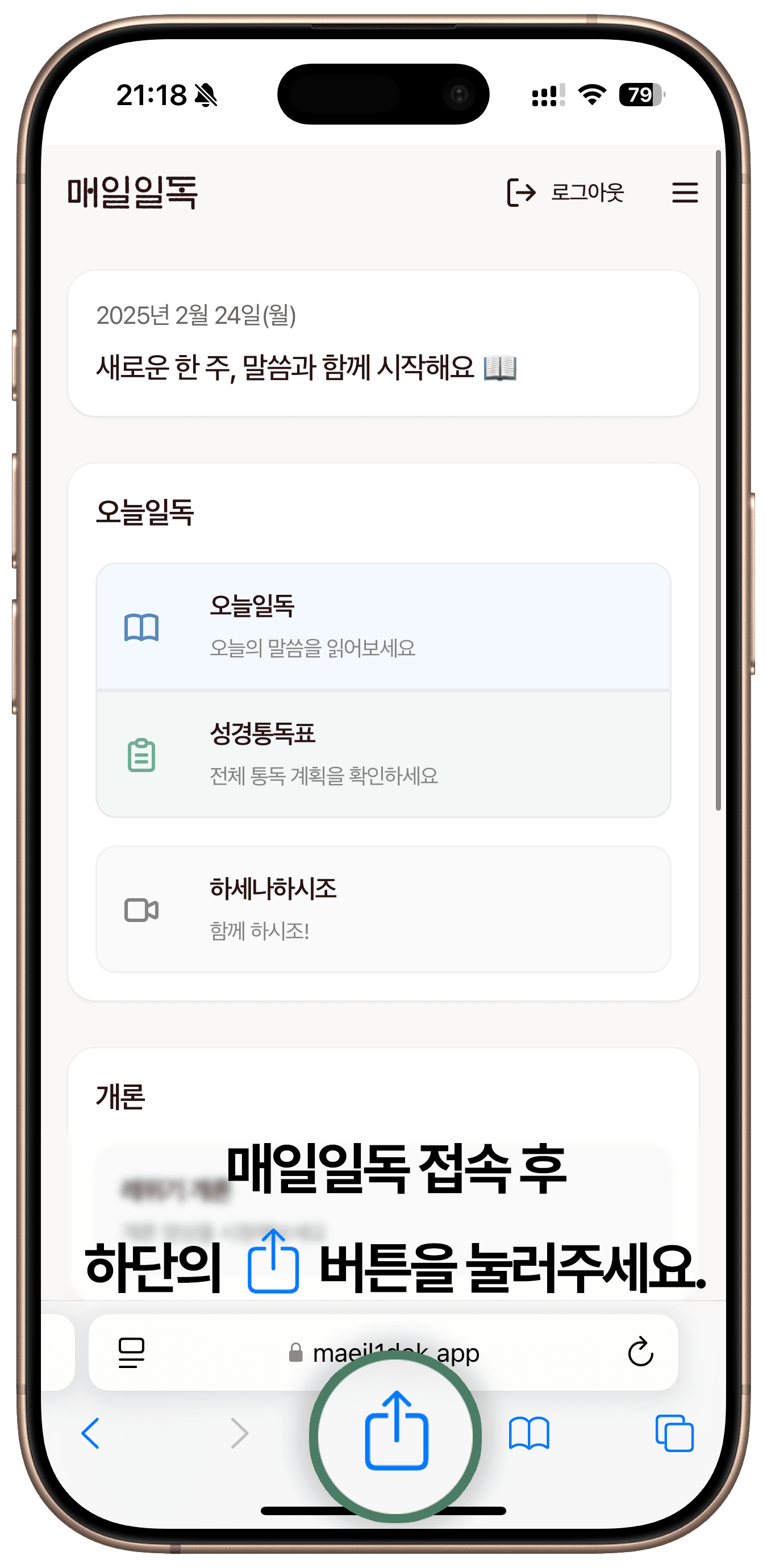 Safari 공유 버튼